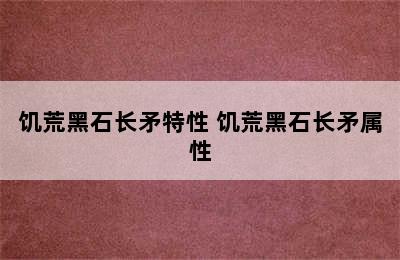 饥荒黑石长矛特性 饥荒黑石长矛属性